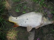 IMG_2498.JPG