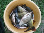 IMG_2504.JPG