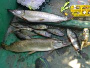 120820111503.jpg