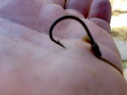 13082011124.jpg