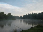 Cтырь 002 (Large).jpg