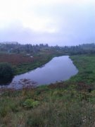 IMAG0560.jpg