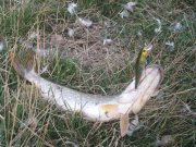 IMG_3362.jpg