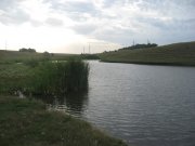 IMG_3367.jpg