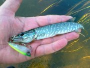 08082011155.jpg