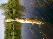 08082011154.jpg
