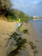16082011757.jpg