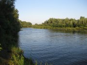 IMG_5905.JPG