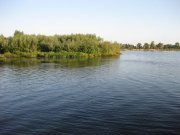 IMG_5907.JPG