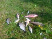 07082011047.jpg