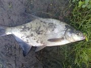 17082011228н.JPG