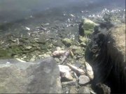 in_20110819124654_190802muk.jpg