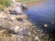 in_20110819124708_190803muk.jpg
