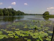 29072011080-уменьшенный.jpg