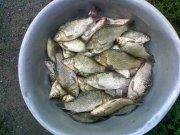 20082011095-уменьшенный.jpg
