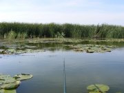 DSCF9578.jpg