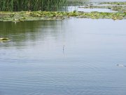 DSCF9580.jpg