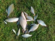 16082011057.jpg