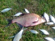 06082011044.jpg