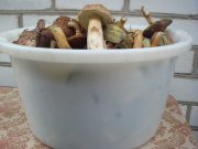 DSC03853.jpg
