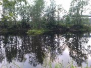 IMAG0587.jpg