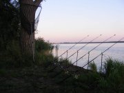 DSCF9602.jpg