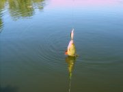 SA500843_1.JPG