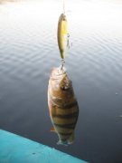IMG_9775.jpg