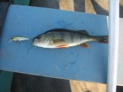 IMG_9768.jpg