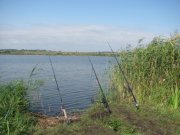 IMG_8022.JPG