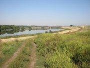IMG_0156.jpg