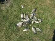 IMG_0158.jpg