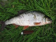 IMG_2792.jpg