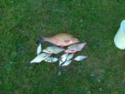 30082011071.jpg