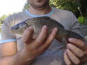 28082011184.jpg