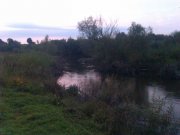 IMAG0671.jpg