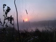 IMAG0672.jpg
