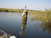 IMG_0167.jpg