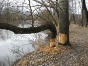 IMG_0676.JPG