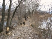 IMG_0691.JPG