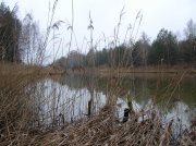 ОБВОДНОЙ_14.JPG