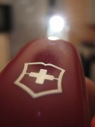 IMG_4657.jpg