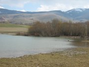 Копия IMG_0456.jpg