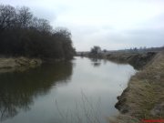DSC00557.JPG