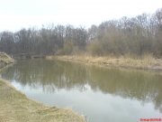 DSC00558.JPG