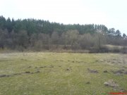 DSC00560.JPG