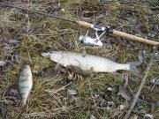 DSC02953 1.jpg