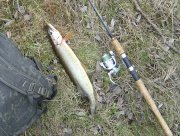 DSC029621.jpg