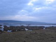 Image00002.jpg