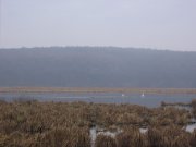 Image00005.jpg